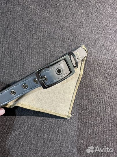 Ошейник для собаки