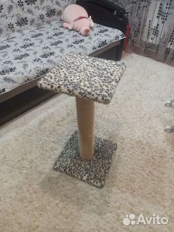 Когтеточка