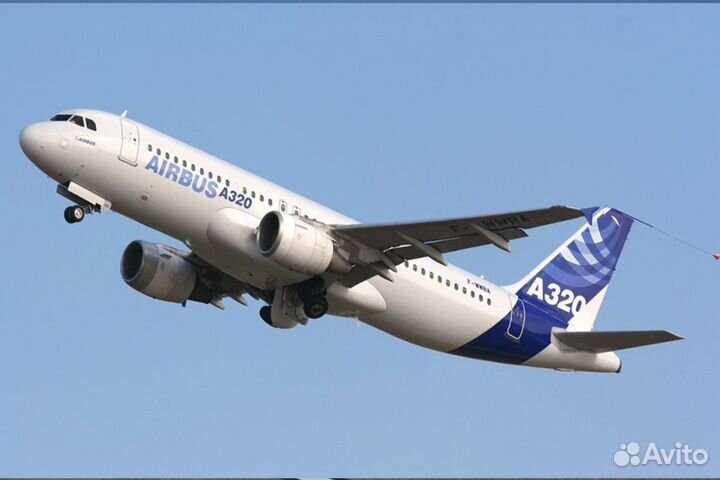 Подготовка к международному экзамену