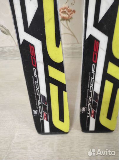 Горные лыжи спортцех Fischer GS