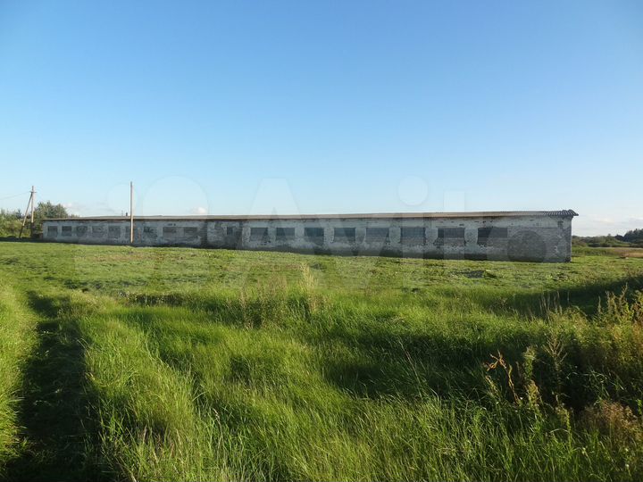 Участок 40 га (СНТ, ДНП)