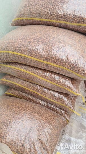 Ищу партнёра инвестора 50% ежемесячно