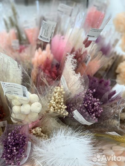Сухоцветы для декора