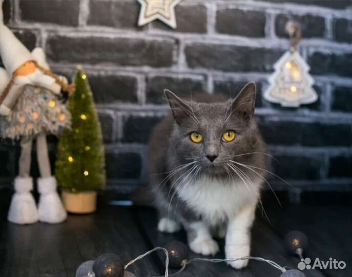 Угловой фон для фотосъёмки 3D Черный тёмный кирпич