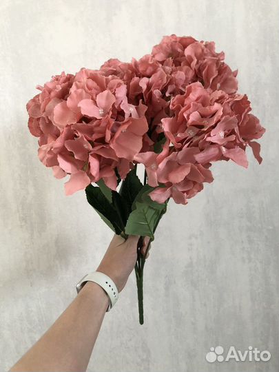 Гортензия декоративная крупная