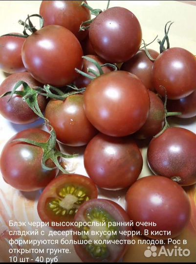 Семена коллекционных, редких и сибирских томатов