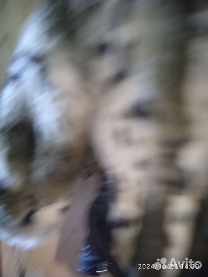 Зима для девочек и мальчиков