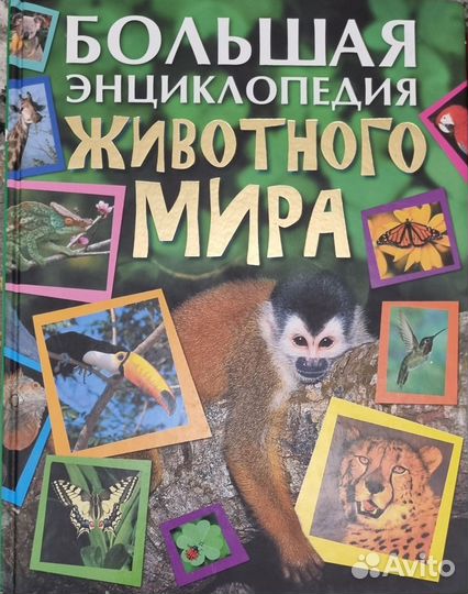 Энциклопедии детские