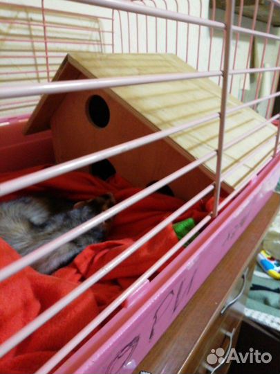 Домик для животных