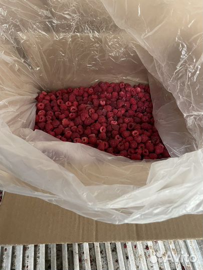 Малина,смородина