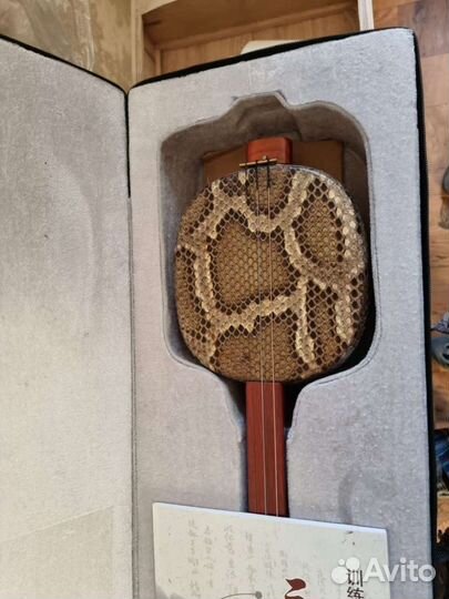 Шанза Монгольская малая