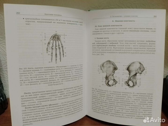 Практическая биология для олимпиадников