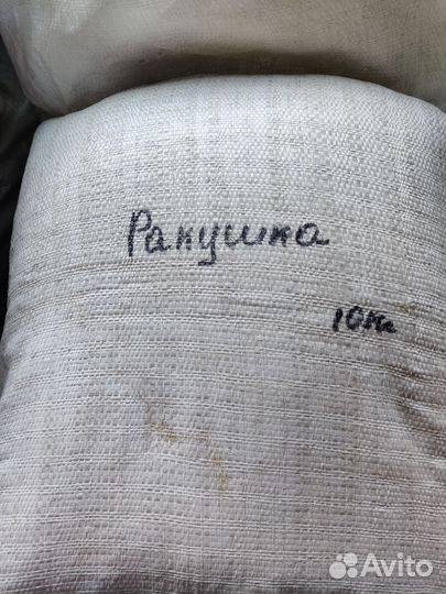 Ракушка кормовая