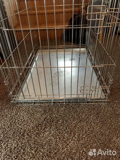 Клетка для собак аренда /прокат/продажа