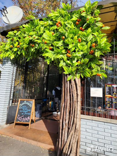 Искусственное озеленение кафе и ресторанов. Декор