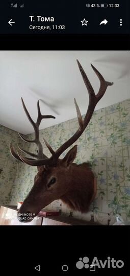 Плакетки из дерева с рисунком