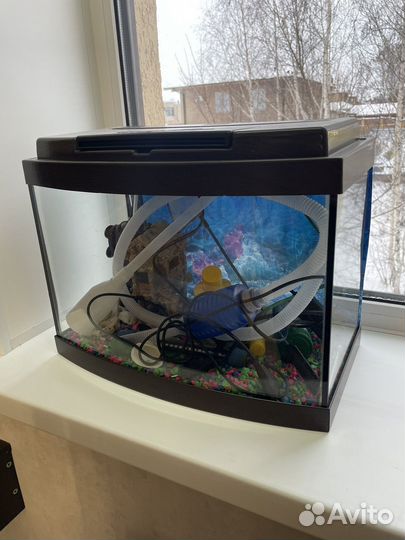 Аквариум