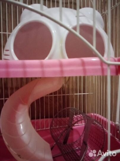 Клетка для грызунов (+корм, + аксессуары)