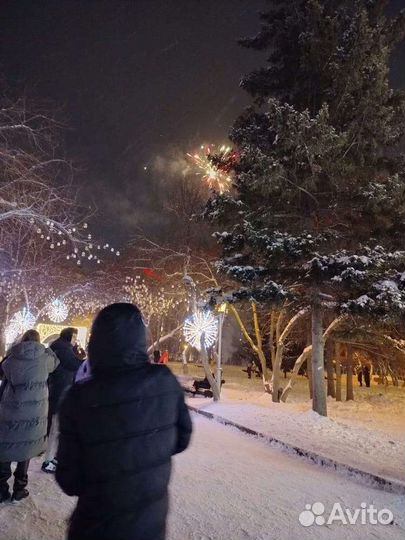 Сниму квартиру