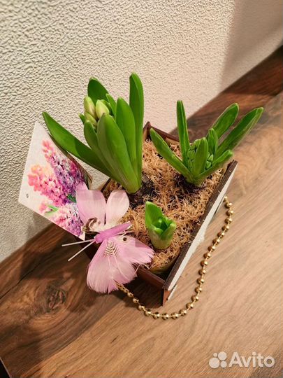 Цветы в кашпо, корзинах