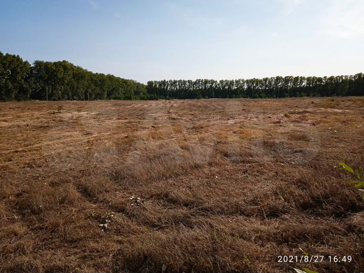 Участок 10 га (ИЖС)