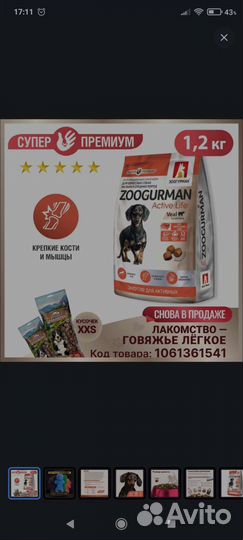 Сухой корм для собак