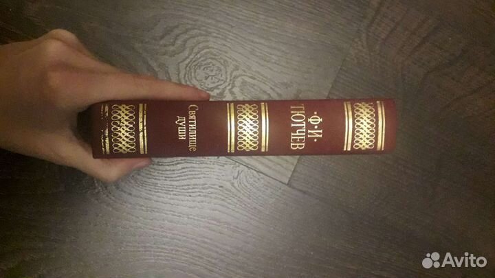 Тютчев, Вяземский, Северянин, Бунин