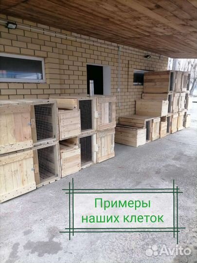 Клетка для кроликов