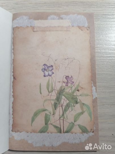 Материалы для скрапбукинга