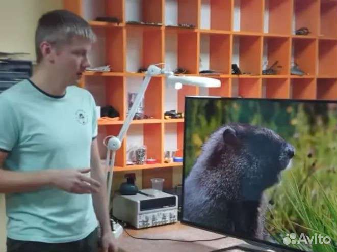 Ремонт телевизоров