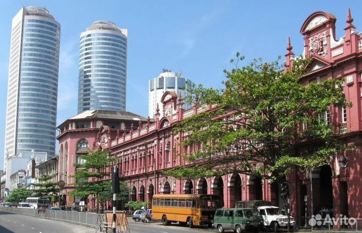 Вип-тур на Sri Lanky 7 дней