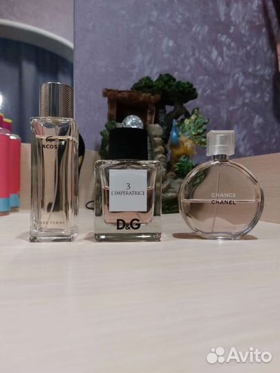 Chanel.dolce Gabbana. Lacoste