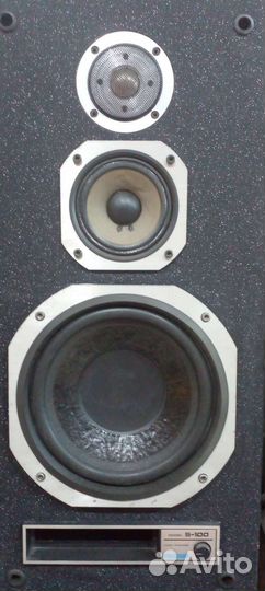 Pioneer S-100