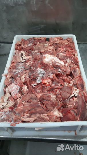 Мясо для собак и кошек. натуральный корм