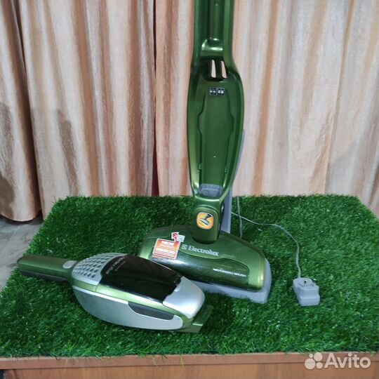 Пылесос Electrolux ergorapido