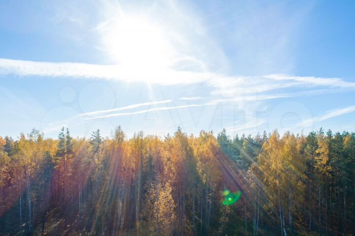 Участок 9,1 сот. (СНТ, ДНП)