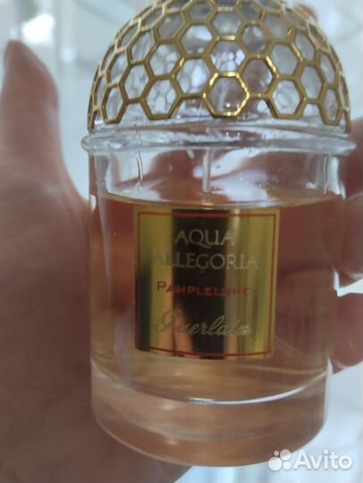 Aqua allegoriа Pampelune 100 мл парфюмерия