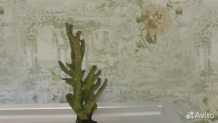 Декор для аквариума грот коралл и иск растения