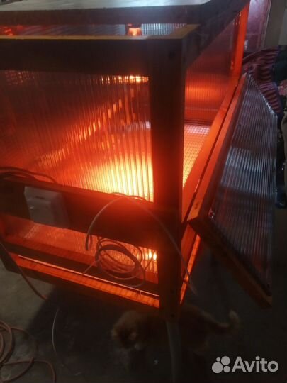 Брудер для цыплят