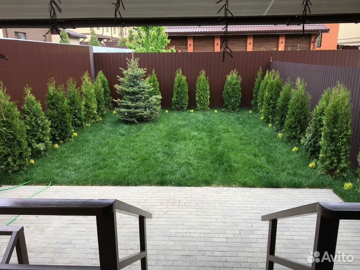 Рулонный газон