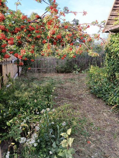 Дача 41 м² на участке 7 сот.