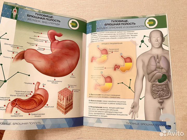 Энциклопедия 4Д анатомия человека органы