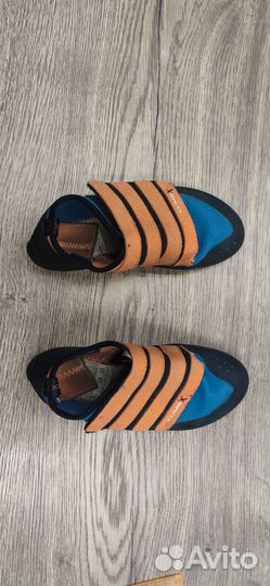 Скальные туфли