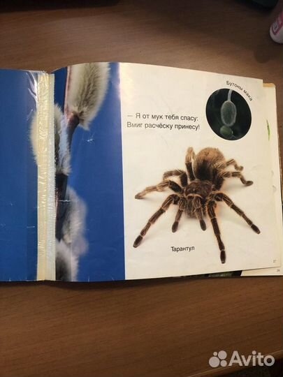 Книга формы и фигуры