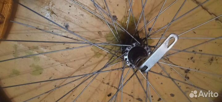 Калеса перед 26