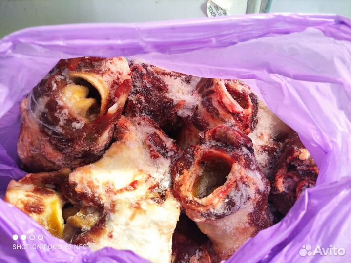 Рубец, обрезь, уши говяжьи,трахеи,почки,хвосты гов