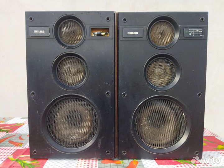 Эстония Акустическая система