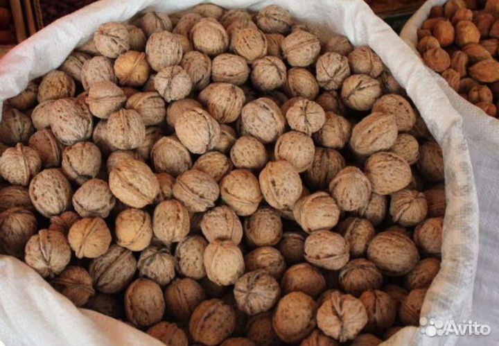 Грецкий орех в скорлупе