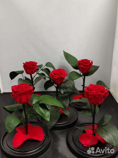 Роза в колбе оптом