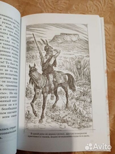 Книга Гарт, Степной найденыш